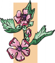 Flower Clipart