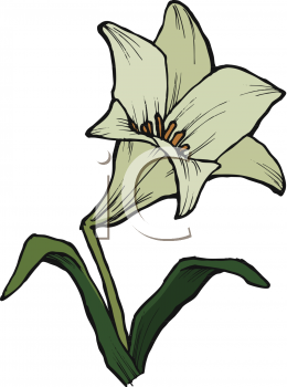 Flower Clipart