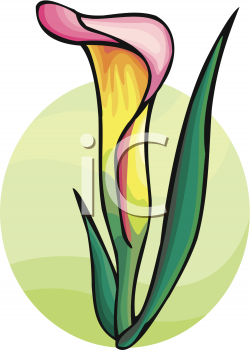 Flower Clipart