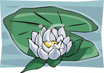 Flower Clipart