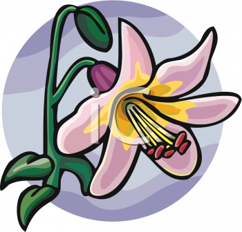 Flower Clipart