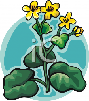 Flower Clipart