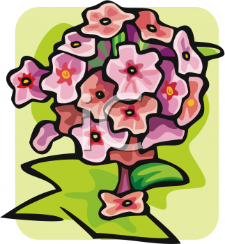 Flower Clipart