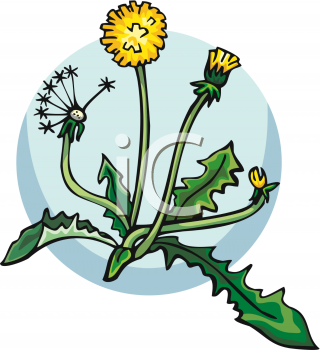 Flower Clipart