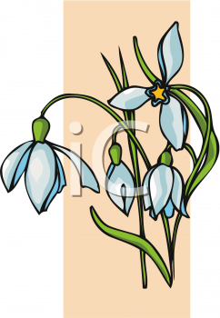 Flower Clipart