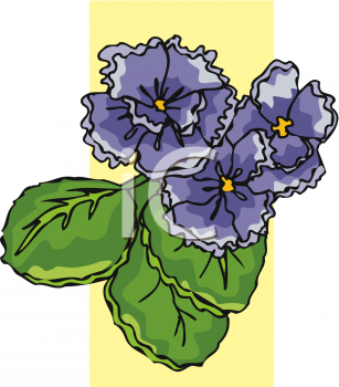 Flower Clipart