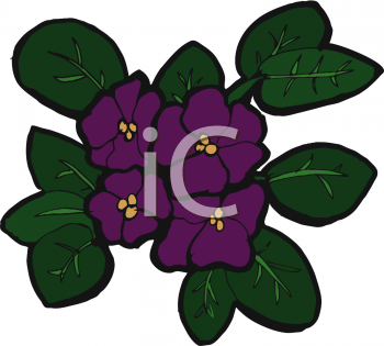 Flower Clipart