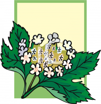 Flower Clipart