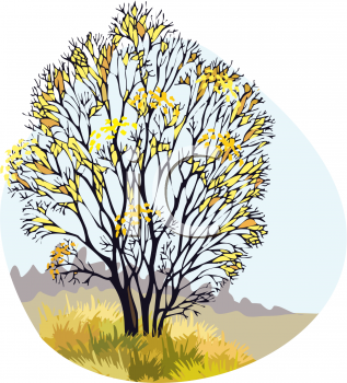 Grass and Tree Clipart