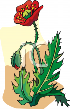 Flower Clipart