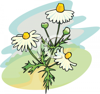 Flower Clipart