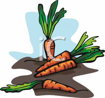 Food Clipart