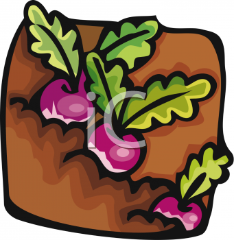 Food Clipart