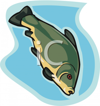 Fish and Sea Life Clipart