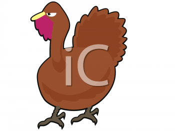 Bird Clipart