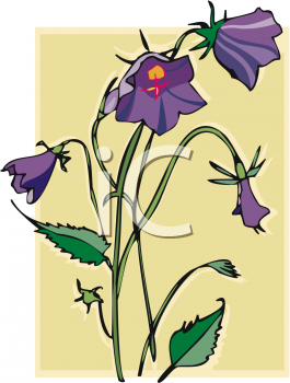 Flower Clipart