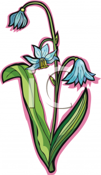 Flower Clipart