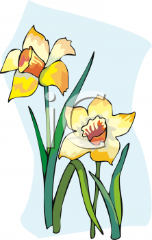 Flower Clipart