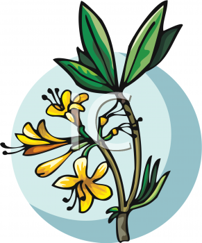 Flower Clipart