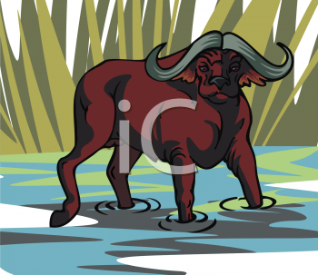 Buffalo Clipart