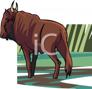 Buffalo Clipart