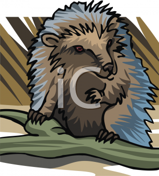 Rodent Clipart