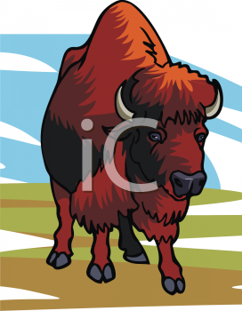 Buffalo Clipart