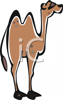 Camel Clipart