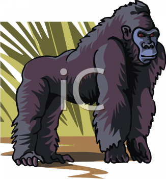 Primate Clipart