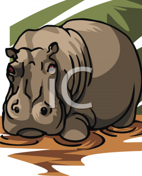 Animal Clipart