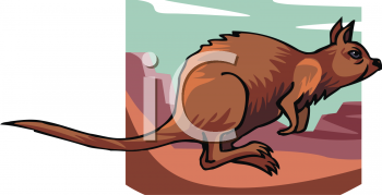 Marsupial Clipart