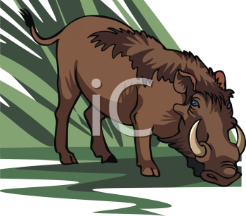 Farm Animal Clipart