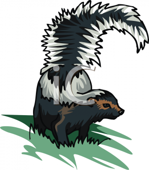 Mammal Clipart