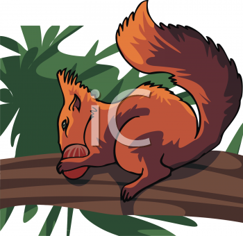 Rodent Clipart