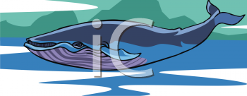 Fish and Sealife Clipart