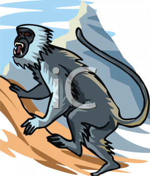 Primate Clipart