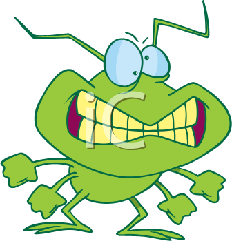 Insect Clipart