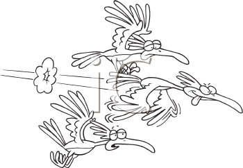 Insect Clipart