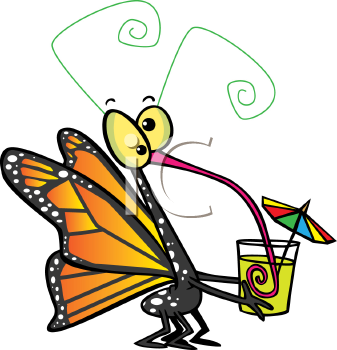 Insect Clipart