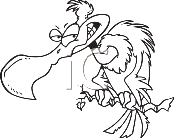 Bird Clipart