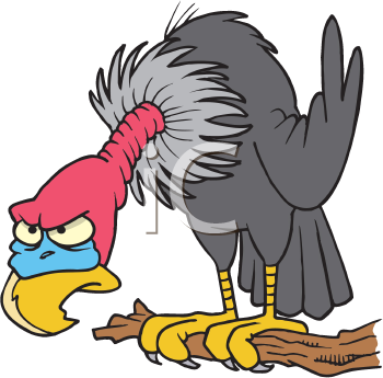 Bird Clipart