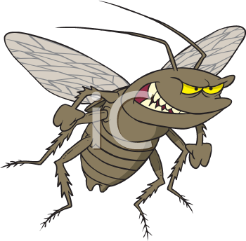 Insect Clipart