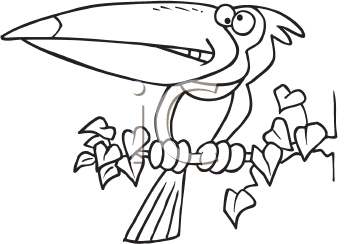 Bird Clipart