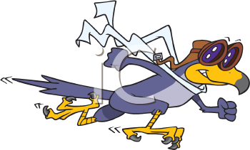 Bird Clipart