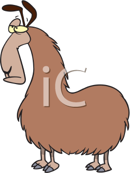 Camel Clipart