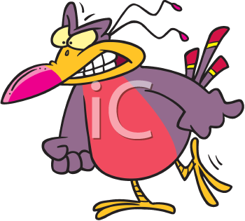 Bird Clipart