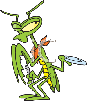 Insect Clipart