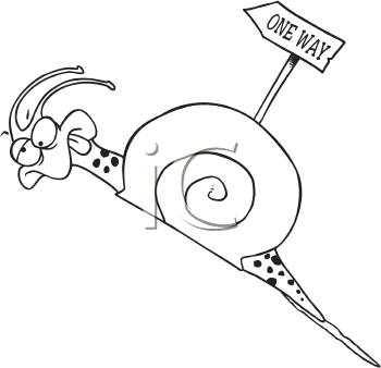 Mollusk Clipart