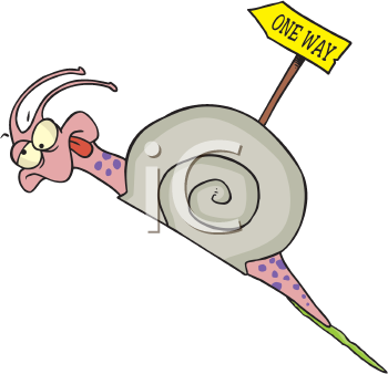 Mollusk Clipart