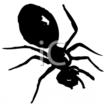 Insect Clipart